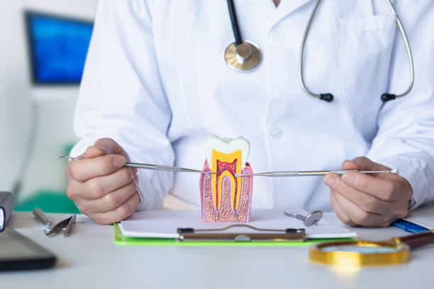 Best Emergency Tooth Extraction in Midway, GA